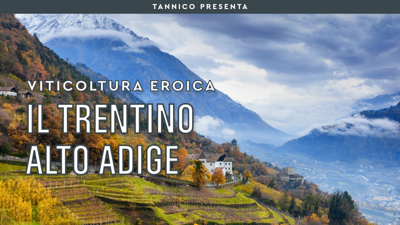 I vigneti di montagna del Trentino-Alto Adige | Tannico