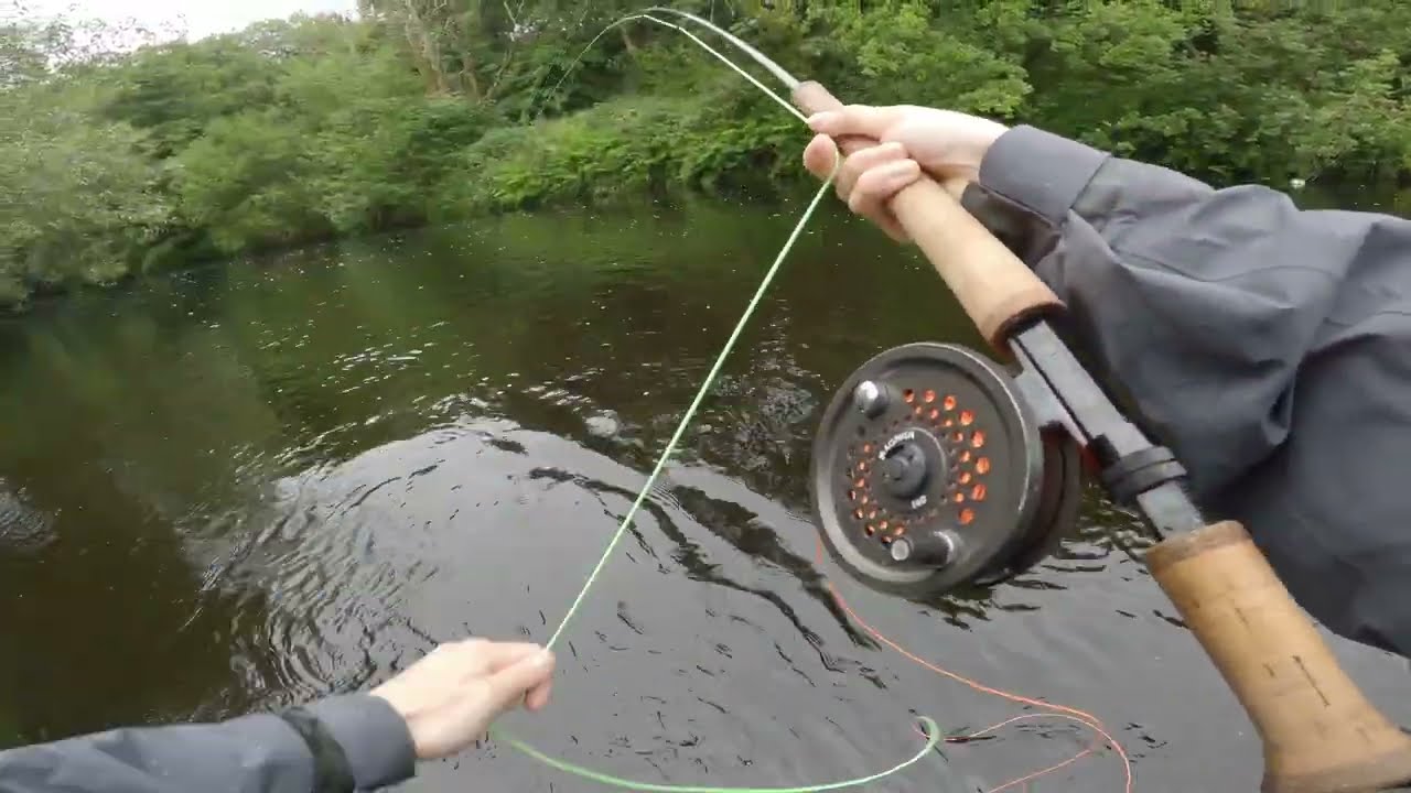 Salmon Fishing off the Beaten Path… 🎣  🌳 🌳 