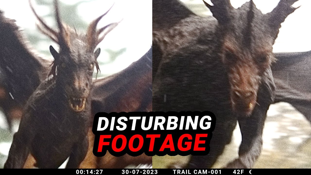Exposing the Most Astonishing Trail Cam Footage Ever Seen