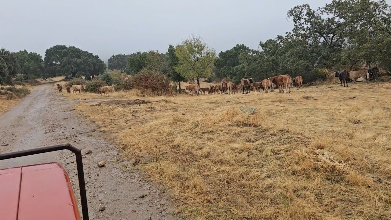 Cómo ha cambiado el tiempo 😉👍
