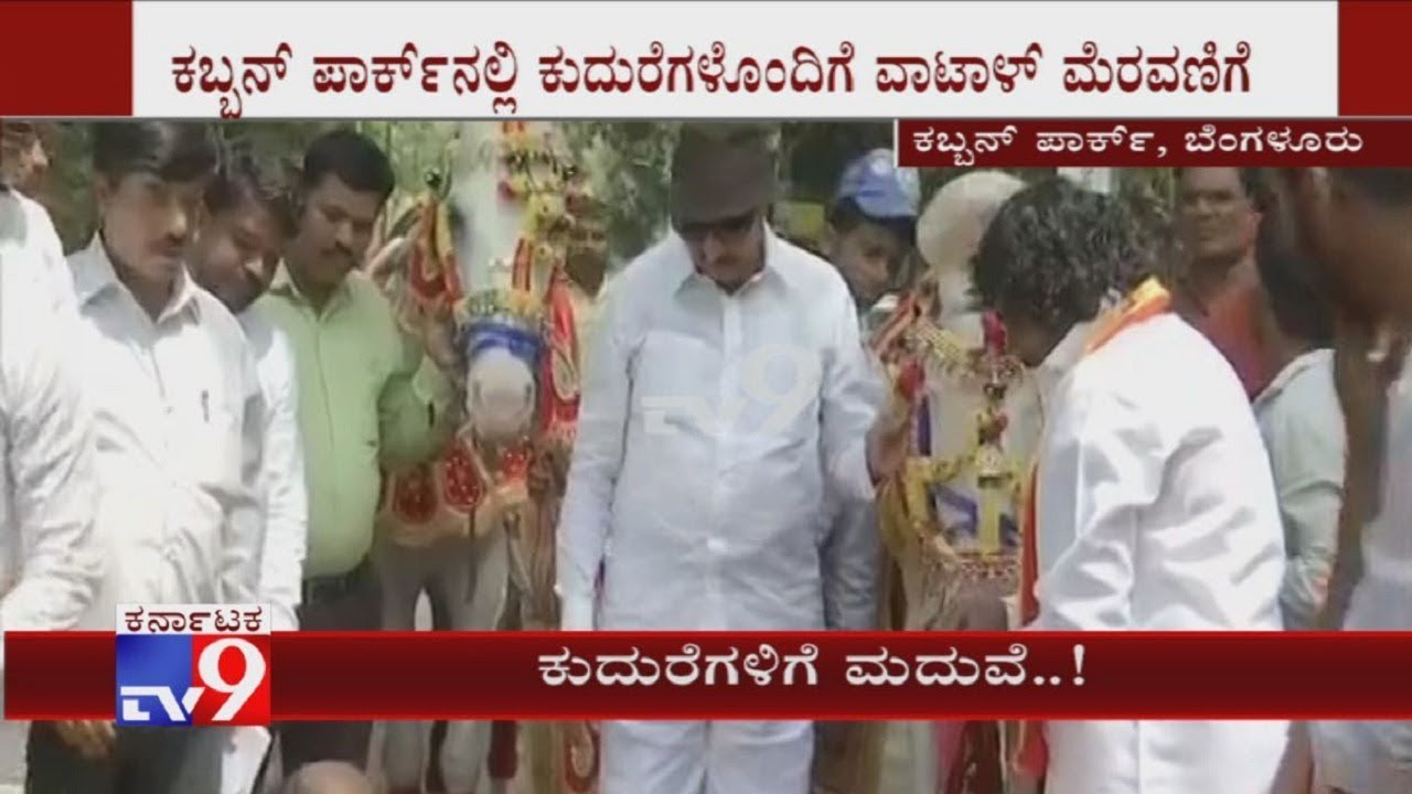 Valentines Day: Vatal Nagaraj & Kannada Activist Got Horses Married In A Traditional Manner