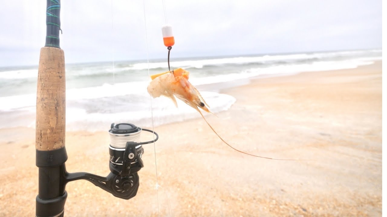 Beach Fishing in Florida with Shrimp (Florida VLOG) - NEW LOGO!