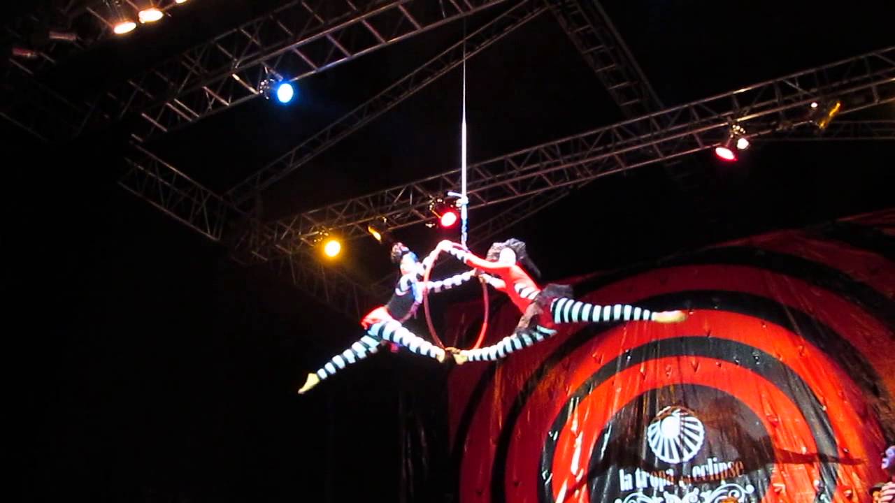Lira duo - Circoloop