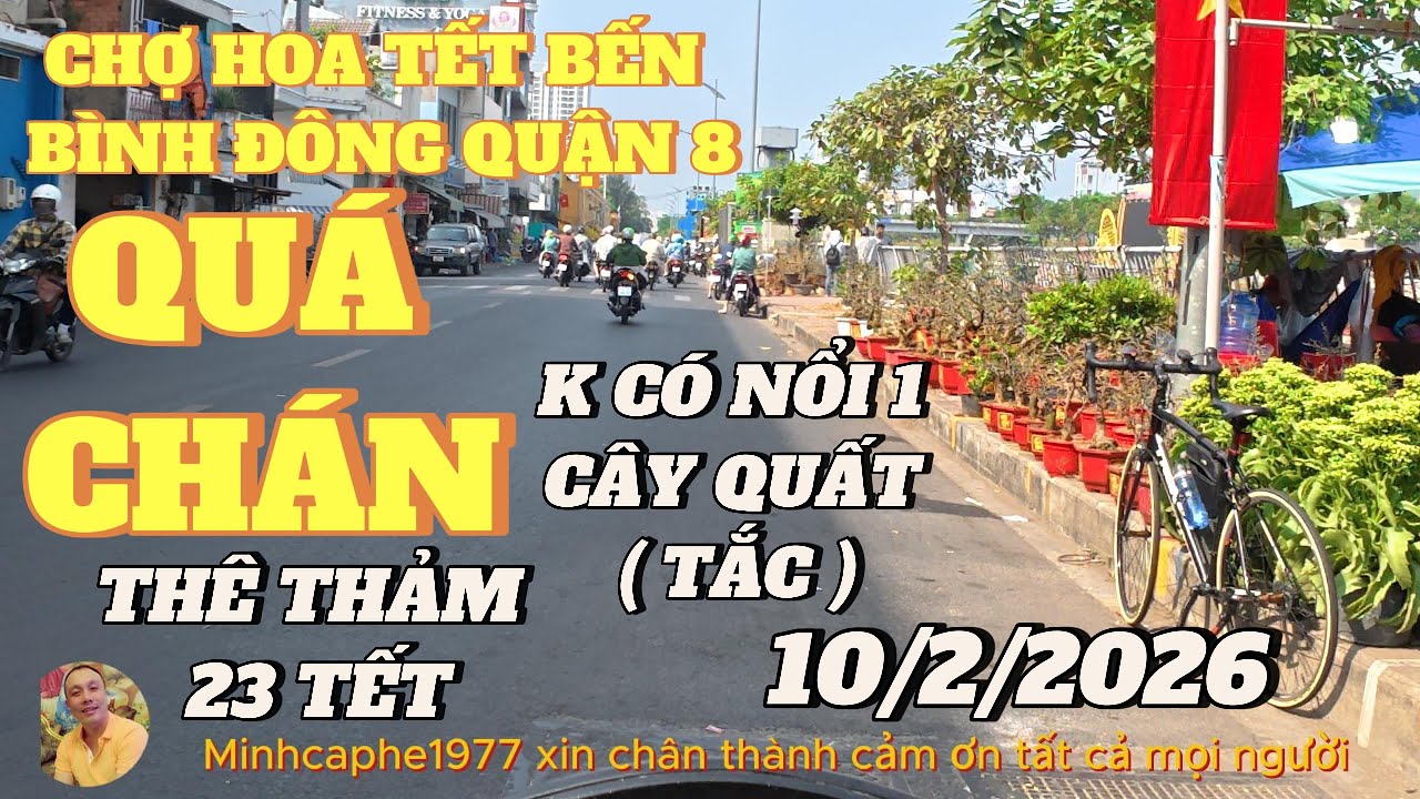 THÊ THẢM.!!.KHÔNG CÓ NỔI 1 CÂY QUẤT (TẮC )..CÒN ĐÂU CHỢ HOA ..BẾN BÌNH ĐÔNG...10/2/2026