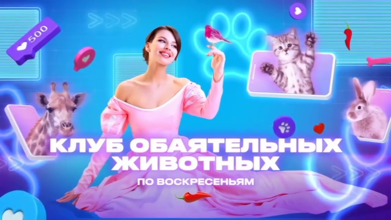 Заставки и анонсы (Перец International, 10.11.2024)