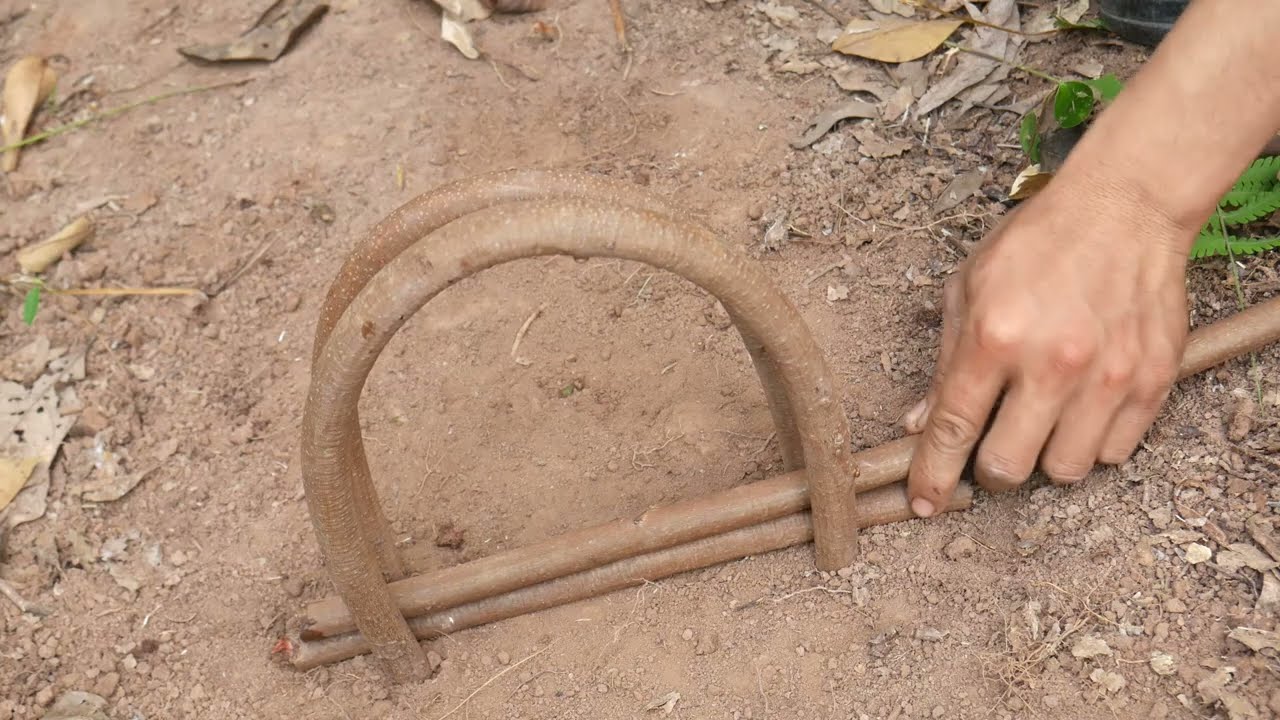 primitive skills to be looking for food in the jungle for survival episode 78 I got a pigeon