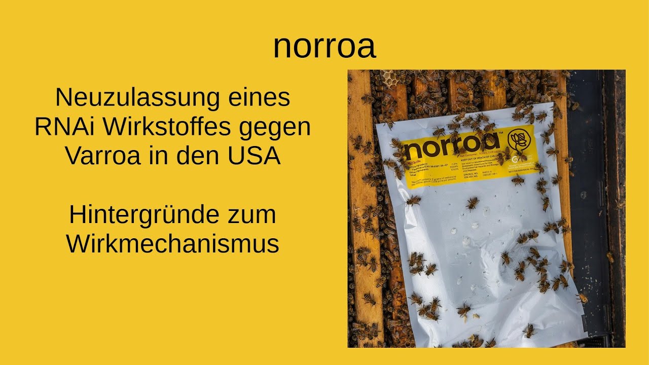 15. Dez.'25 - norroa - neues Varroa Medikament