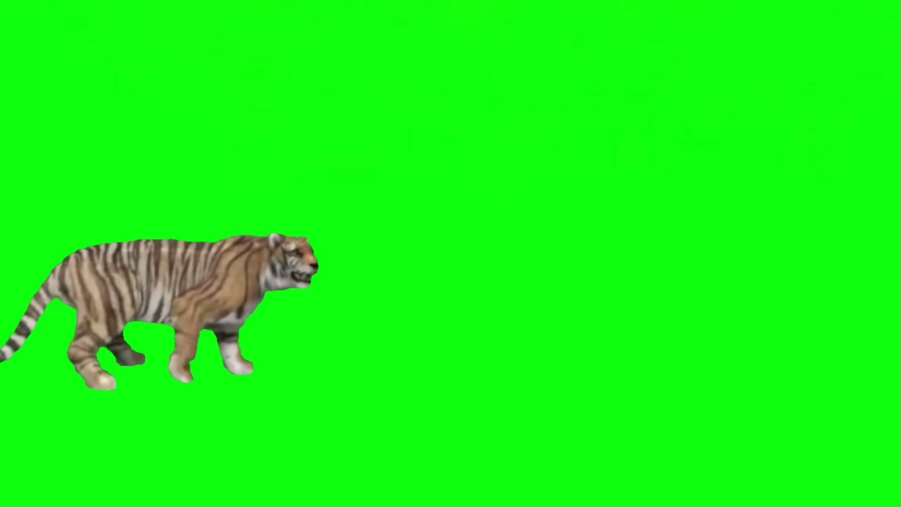 Green Screen Tiger Effect Part-2