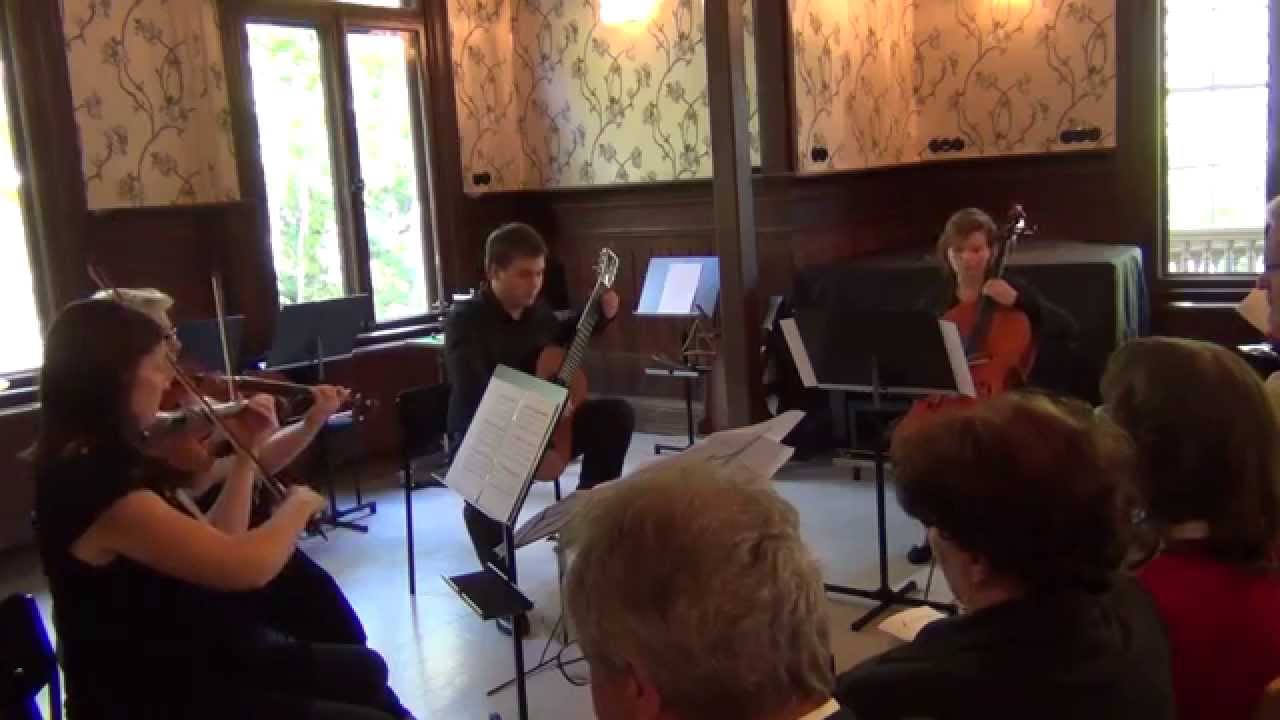 Vivaldi Concerto for Lute in D Major RV 93. Patrik Kleemola & Turku Philharmonic orchestra