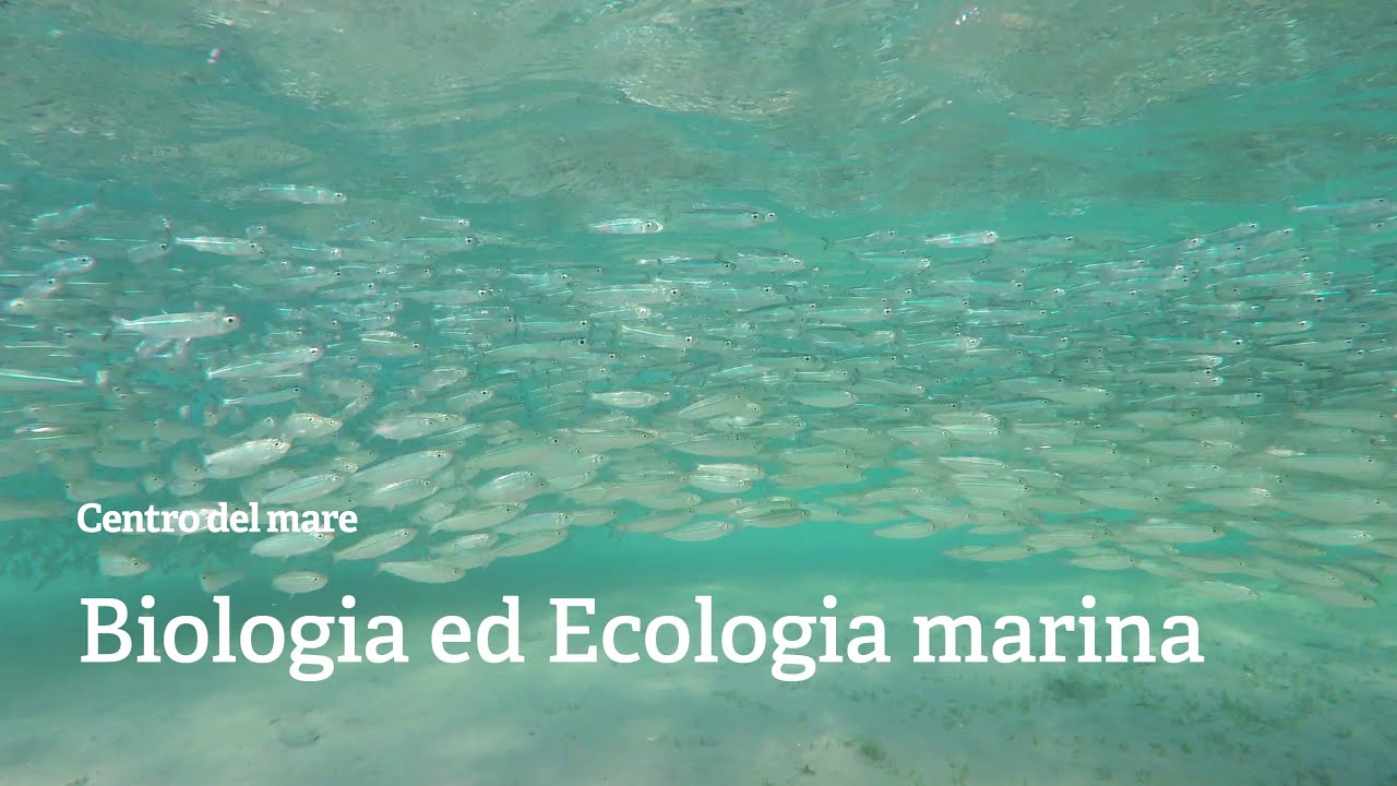 Corso di Laurea Magistrale in Biologia ed ecologia marina