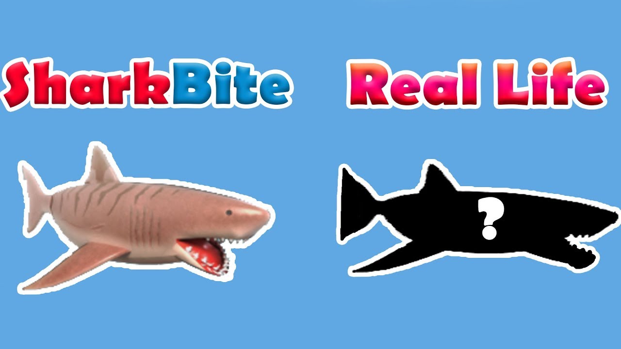 EVERY BOAT, GUN, SHARK AND MORE IN REAL LIFE! | Roblox: SharkBite