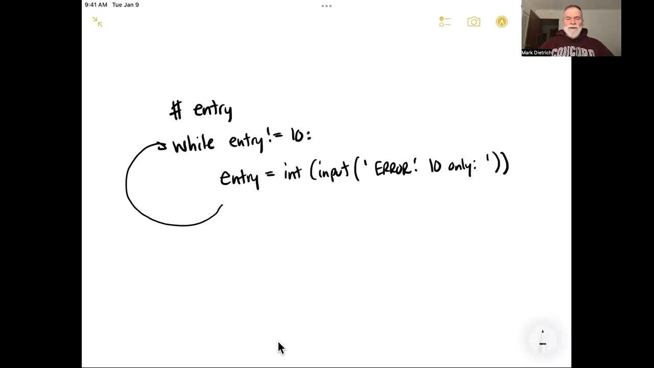 Input validation loops using the while loop
