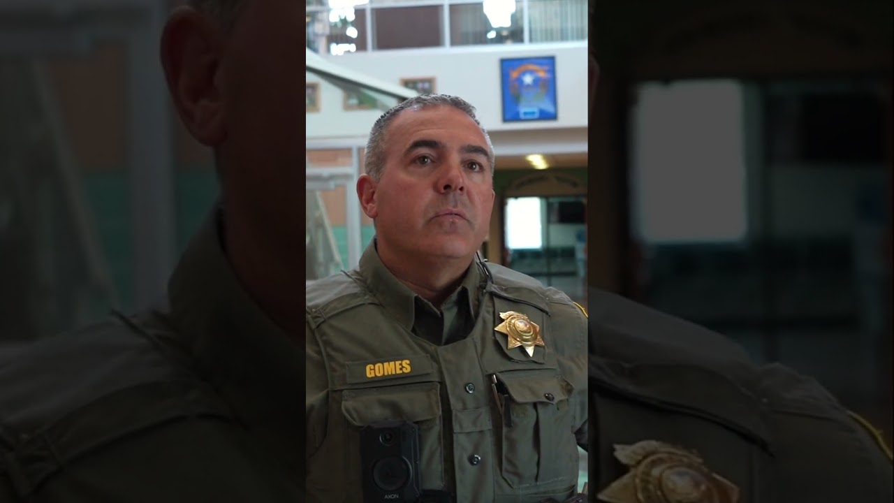 Процесс подачи жалобы в полицию: что происходит, когда вы подаете заявление?