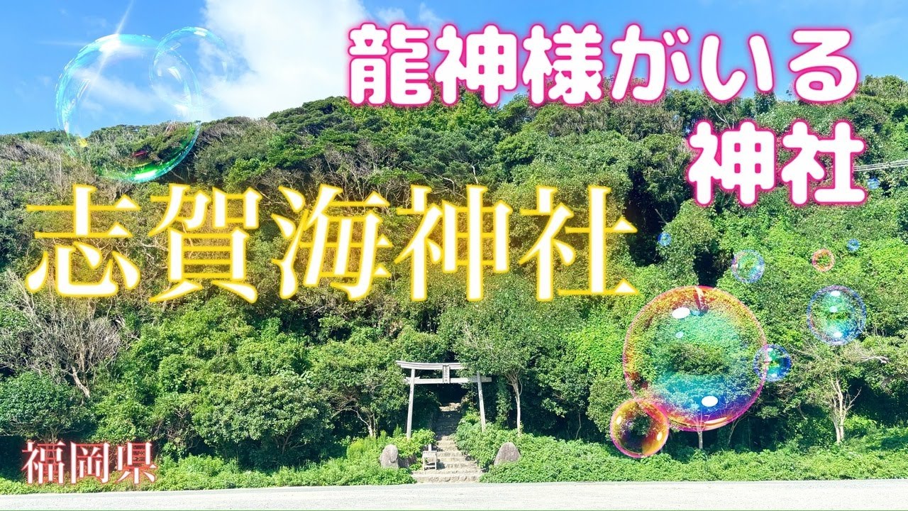 福岡県☆龍神さまがいる神社へ行ってきました！