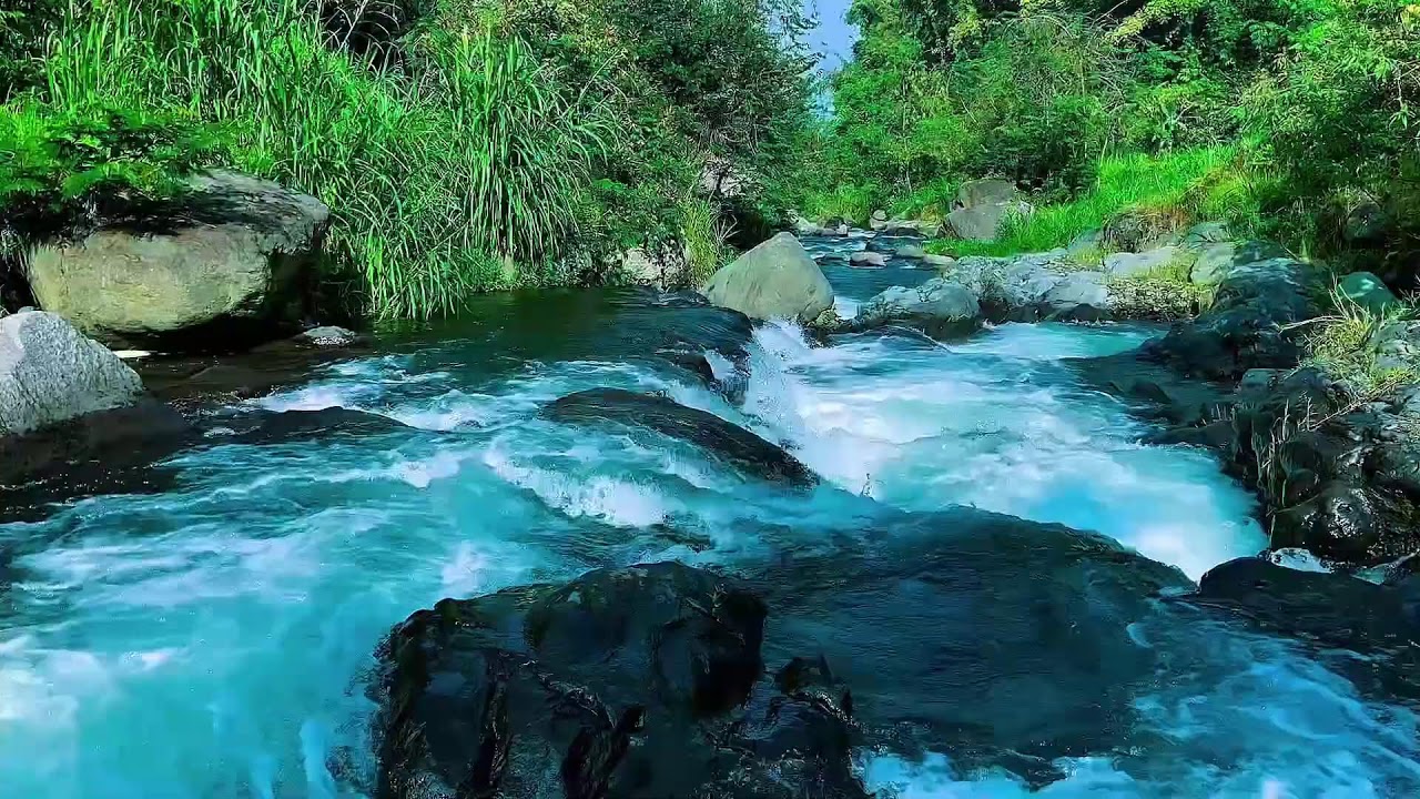 Mountain Stream Water Flow Audio, Forest River, Sleep