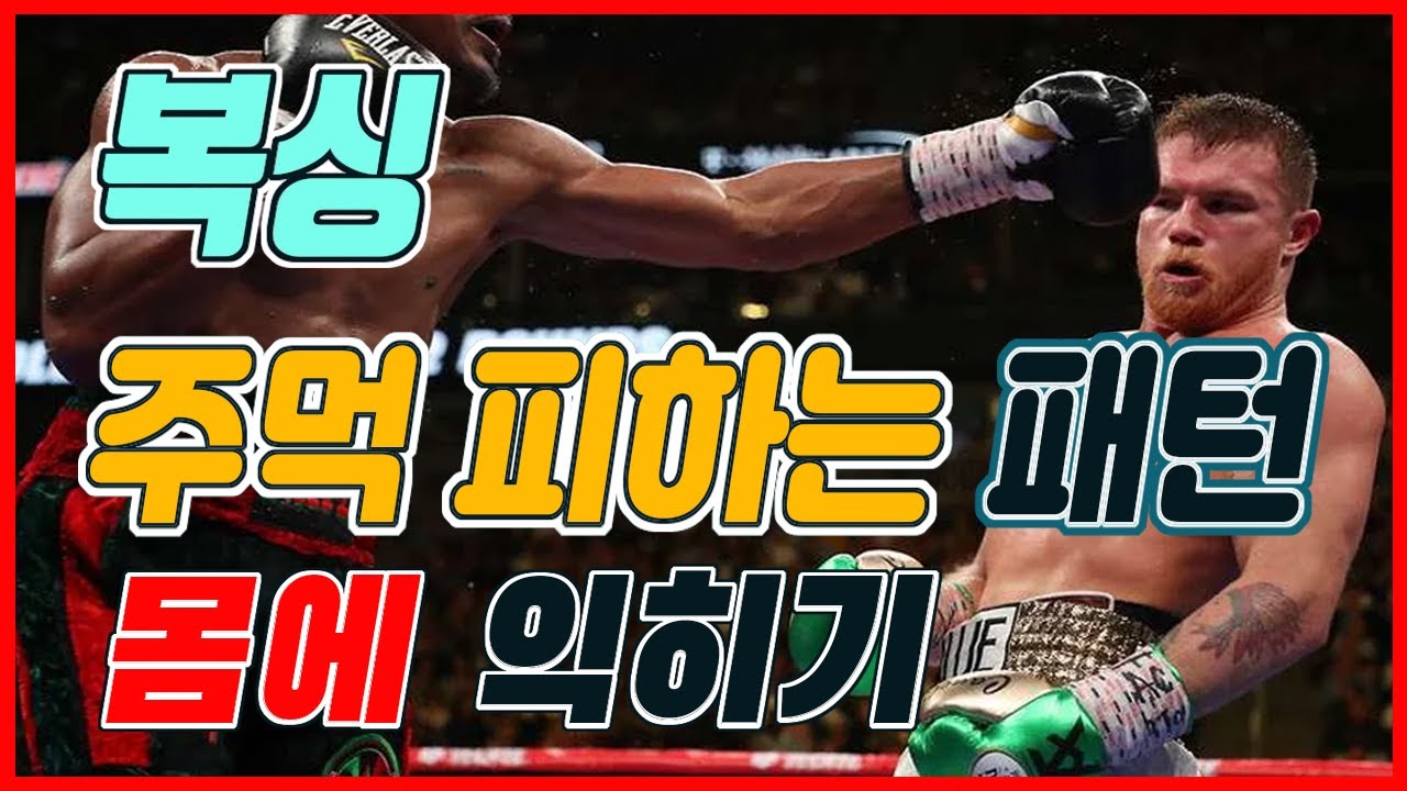 (복싱스파링 팁과 기술) 회피기술 패턴 몸에 익히기 : 나도 챔피언처럼 주먹을 피할 수 있을까?