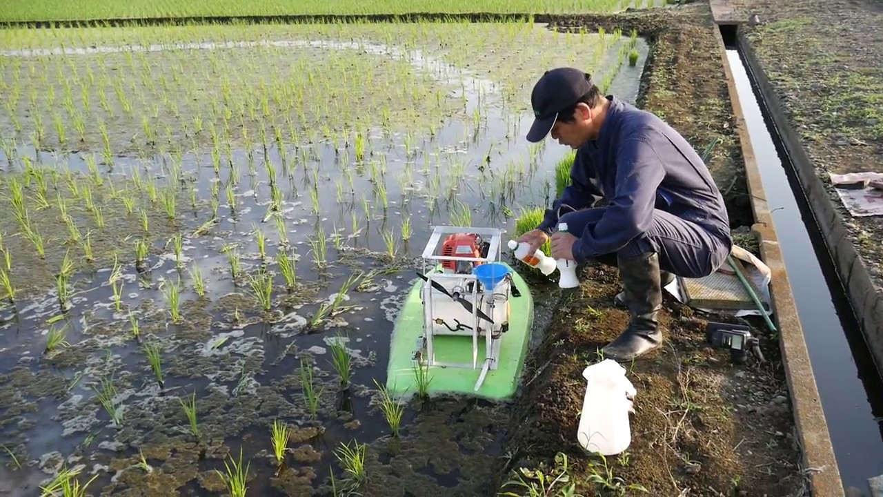 RCエアボート　除草剤散布（フロアブル中後期剤）