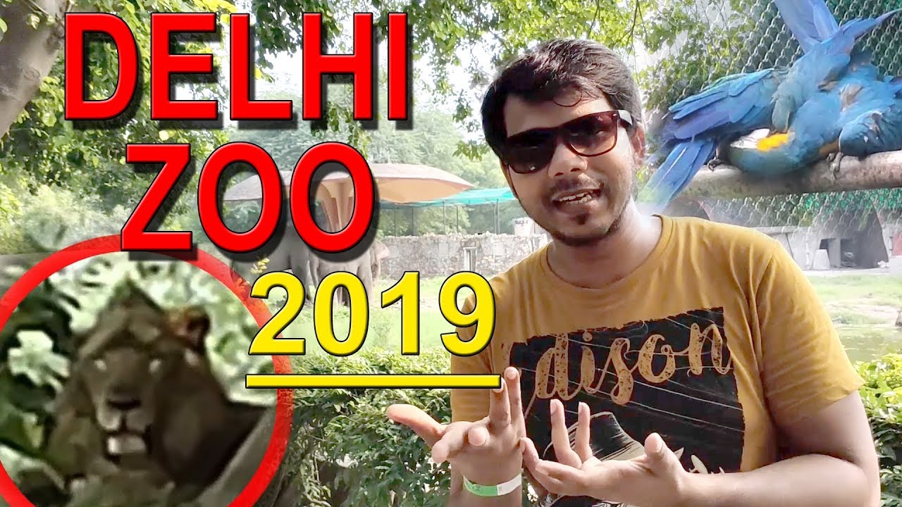 DELHI ZOO 2019 || #zoo || #delhizoo