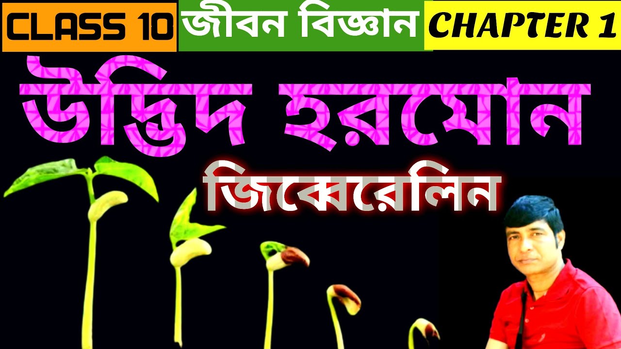 ক্লাস ১০/ উদ্ভিদ হরমোন জিব্বেরেলিন / Chapter 1