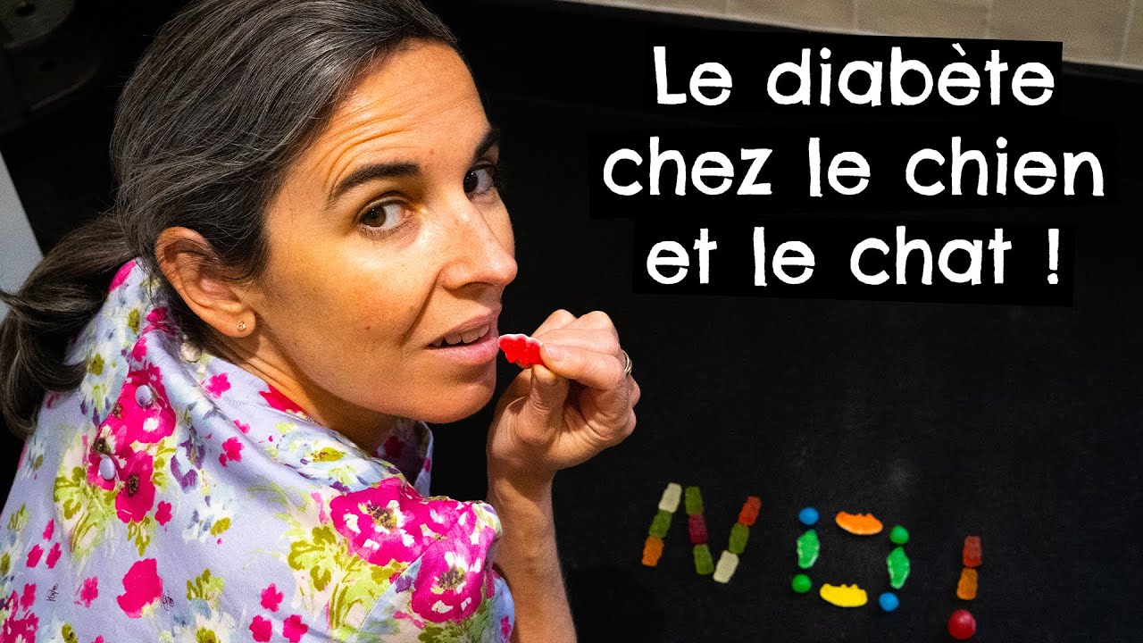 Le diabète chez le chien et le chat ! 🐶 🐱