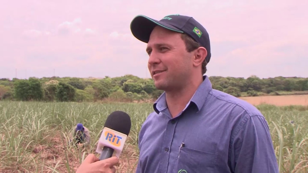 Controle de Pragas na Cana-de-açúcar - Revista do Campo