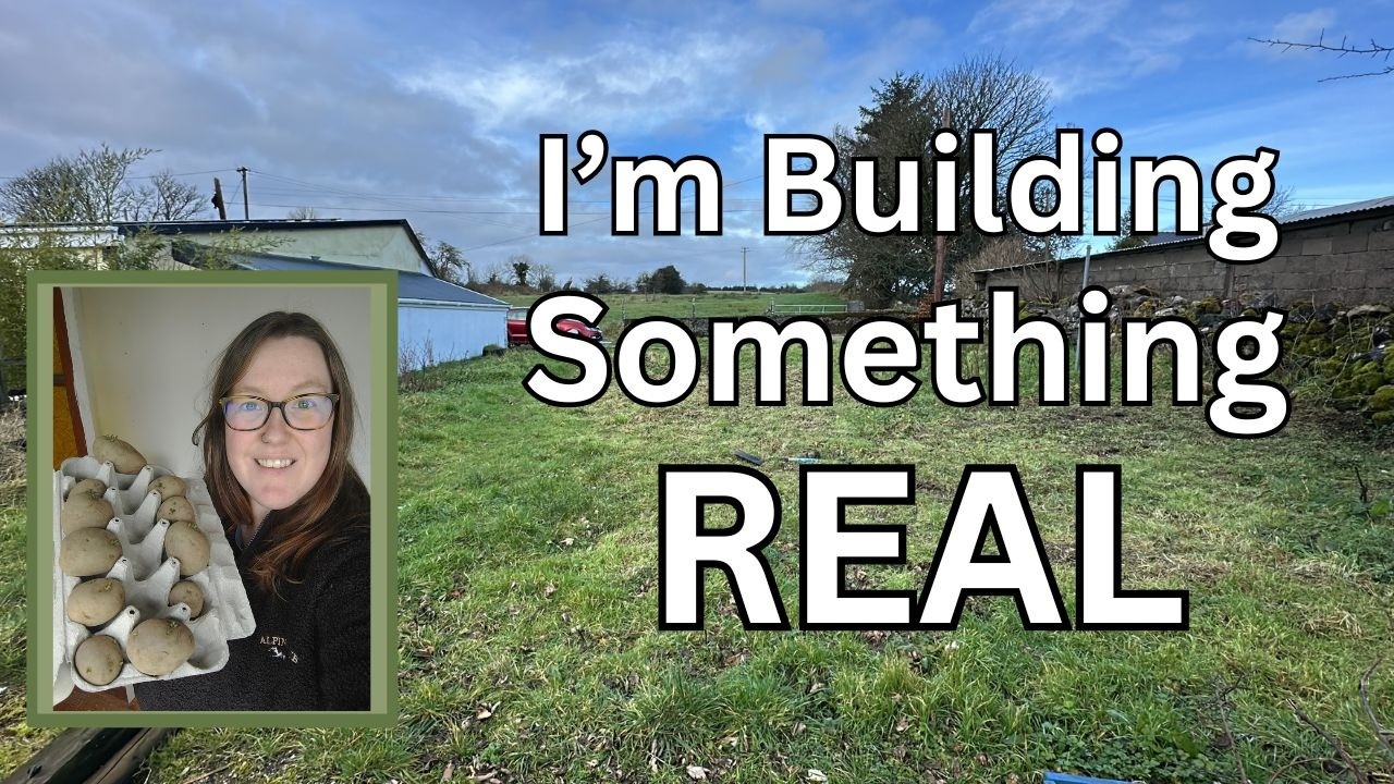 I’m Starting My Homestead From Scratch in Ireland | Spring Garden & Renovation