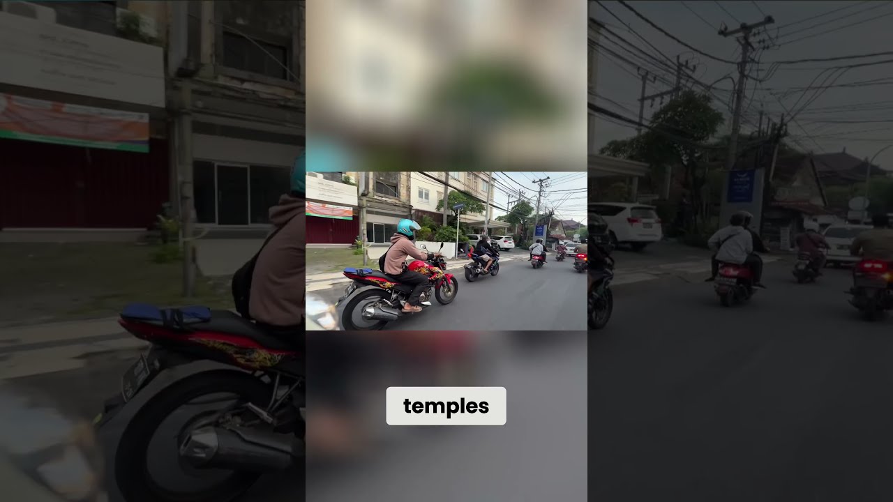 Bali Temple & Monkey Forest Adventure!