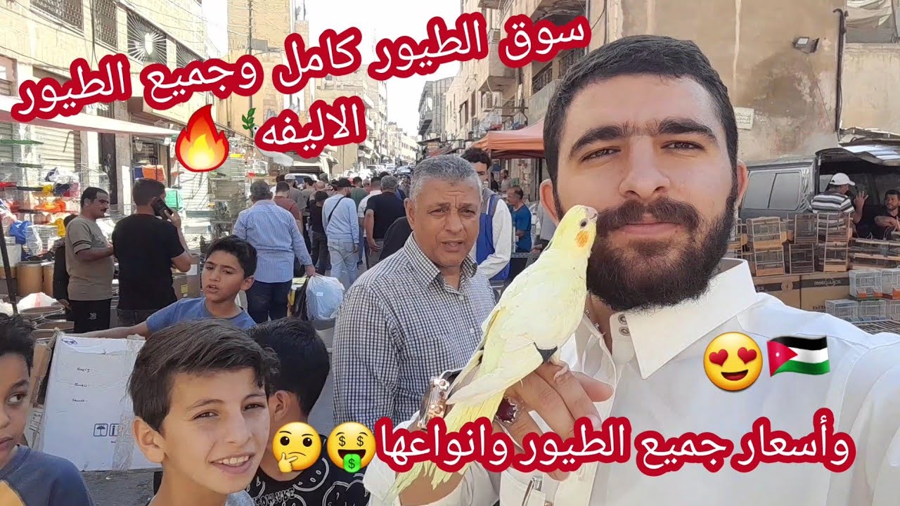 سوق الطيور والحيوانات في الاردن يوم الجمعه واسعارها🤑🔥