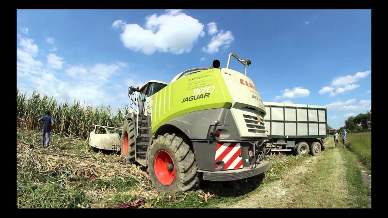 Insilato Mais 2015 A.z Agricola Toniolo
