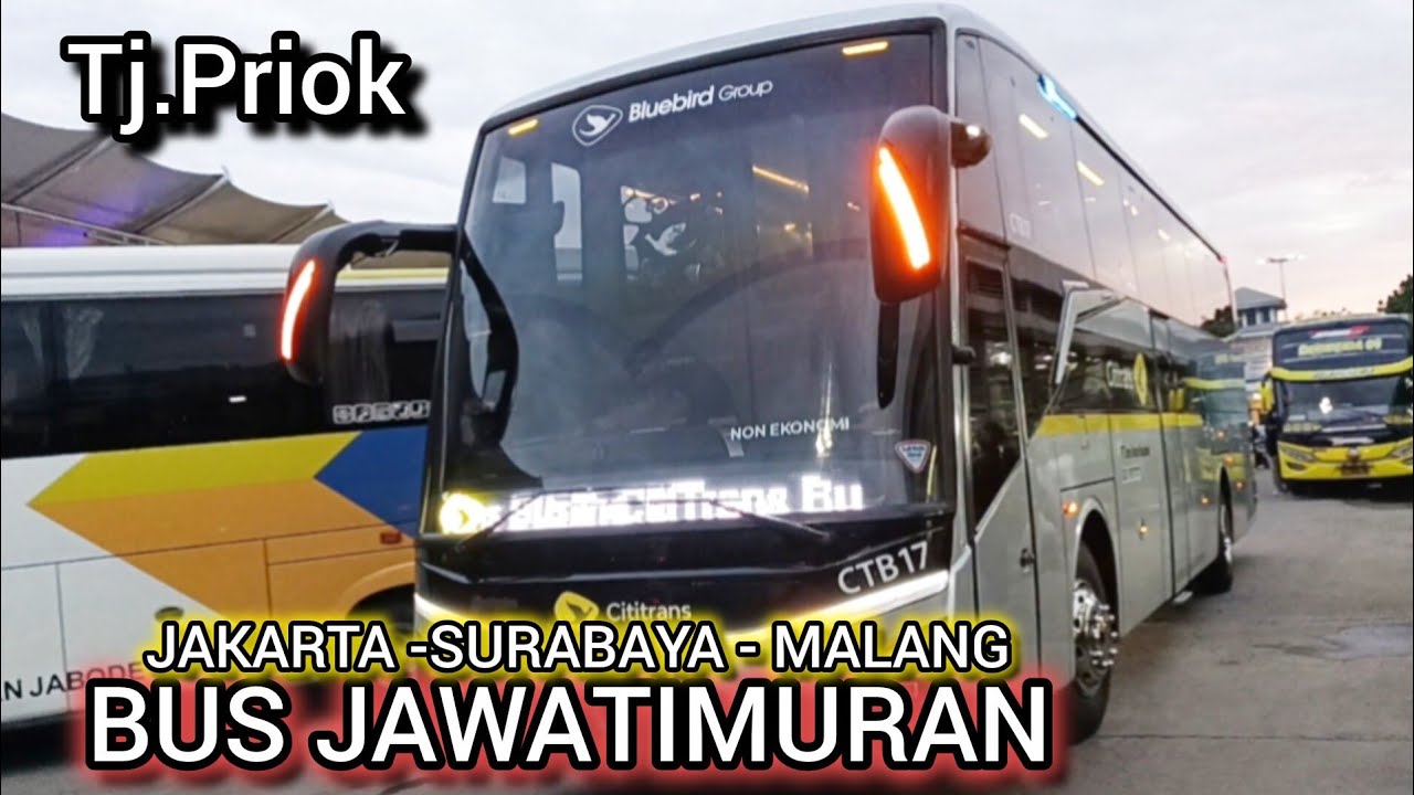BUS JAWATIMURAN !! CITITRANS JAKARTA SURABAYA MALANG STRAR TERMINAL TANJUNG PRIOK