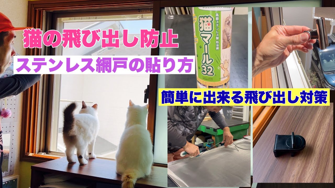 猫用網戸。猫マールの張り方。簡単に出来る猫脱走対策🐈