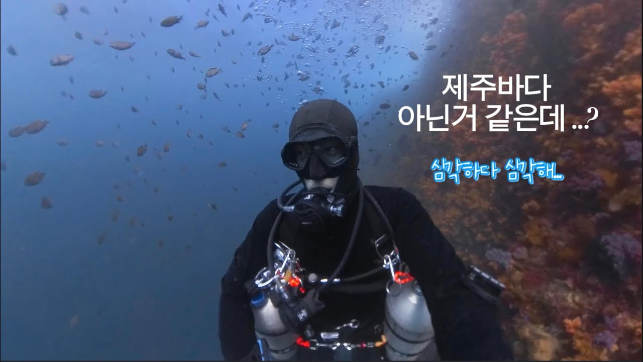 [4K] 제주 바닷속 360° 완전 공개｜세상에서 가장 아름다운 바다 풍경
