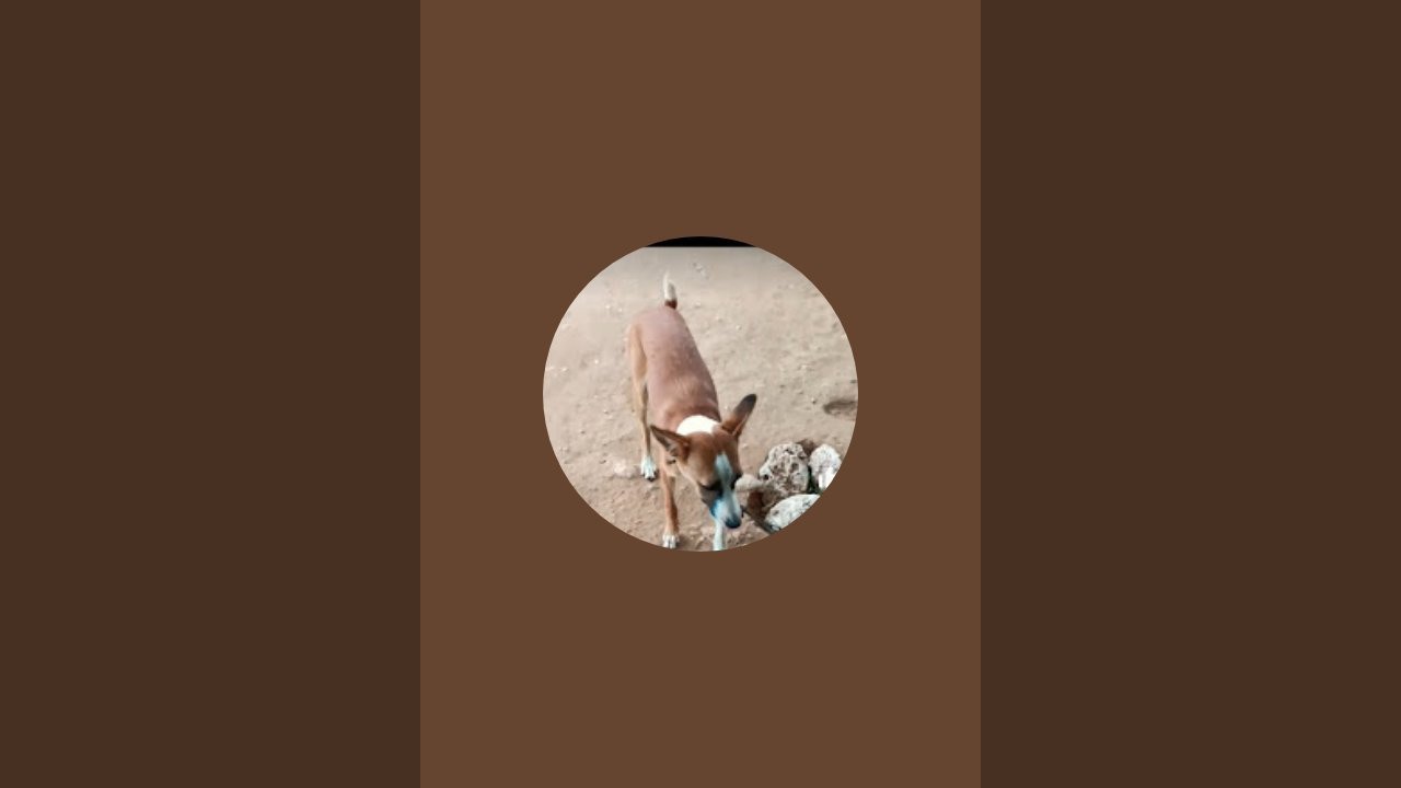 பப்பி நிஷாந்த் சேனல்  is live