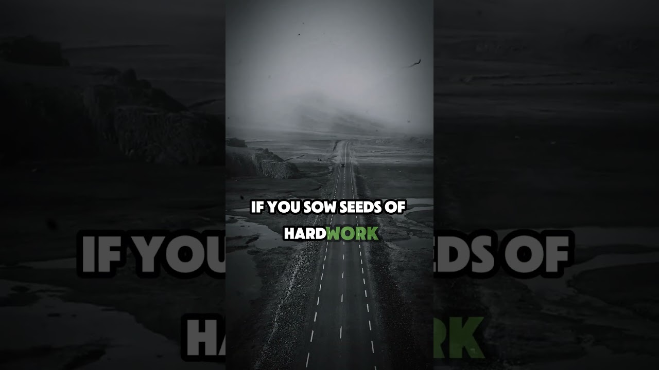 Plant Seeds of Success: What You Grow Defines Your Future.🎯