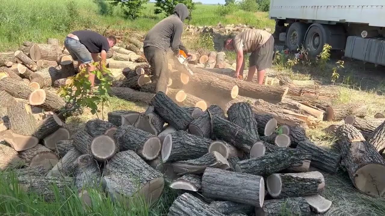 Extreme Chainsaw Action | Stihl MS 462 C-M