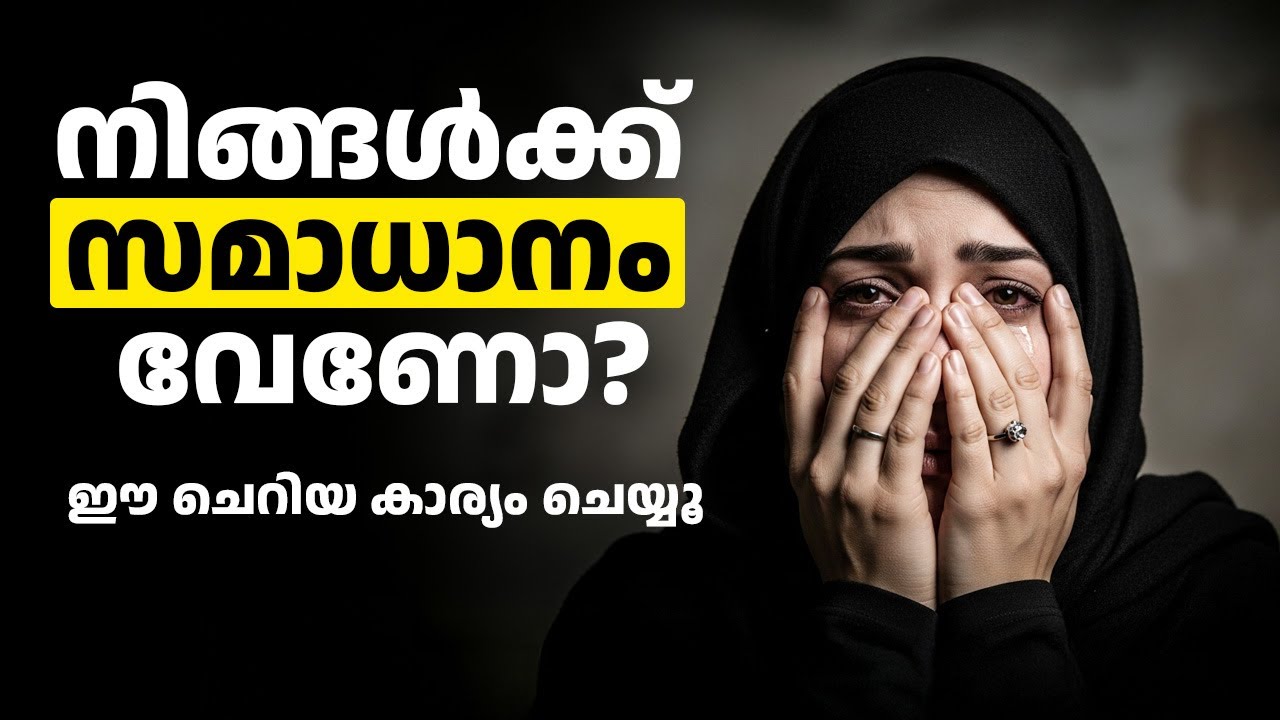 യഥാർത്ഥ സമാധാനം എവിടെയാണ് ? | Peace | Islam | Relax | Malayalam