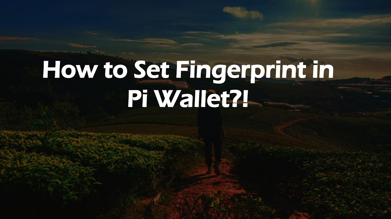 How to Set Fingerprint in Pi Wallet?!