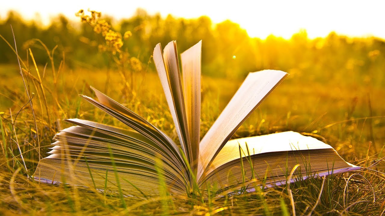 Reading Music to Concentrate | Study Music | Relaxing Music for Studying | Concentration Music Work