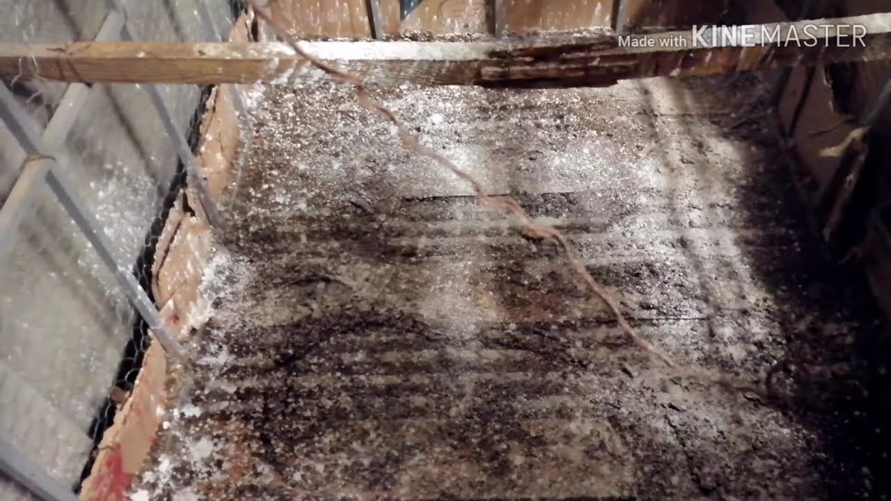 Kümes Kireçleme nasıl yapılmalı