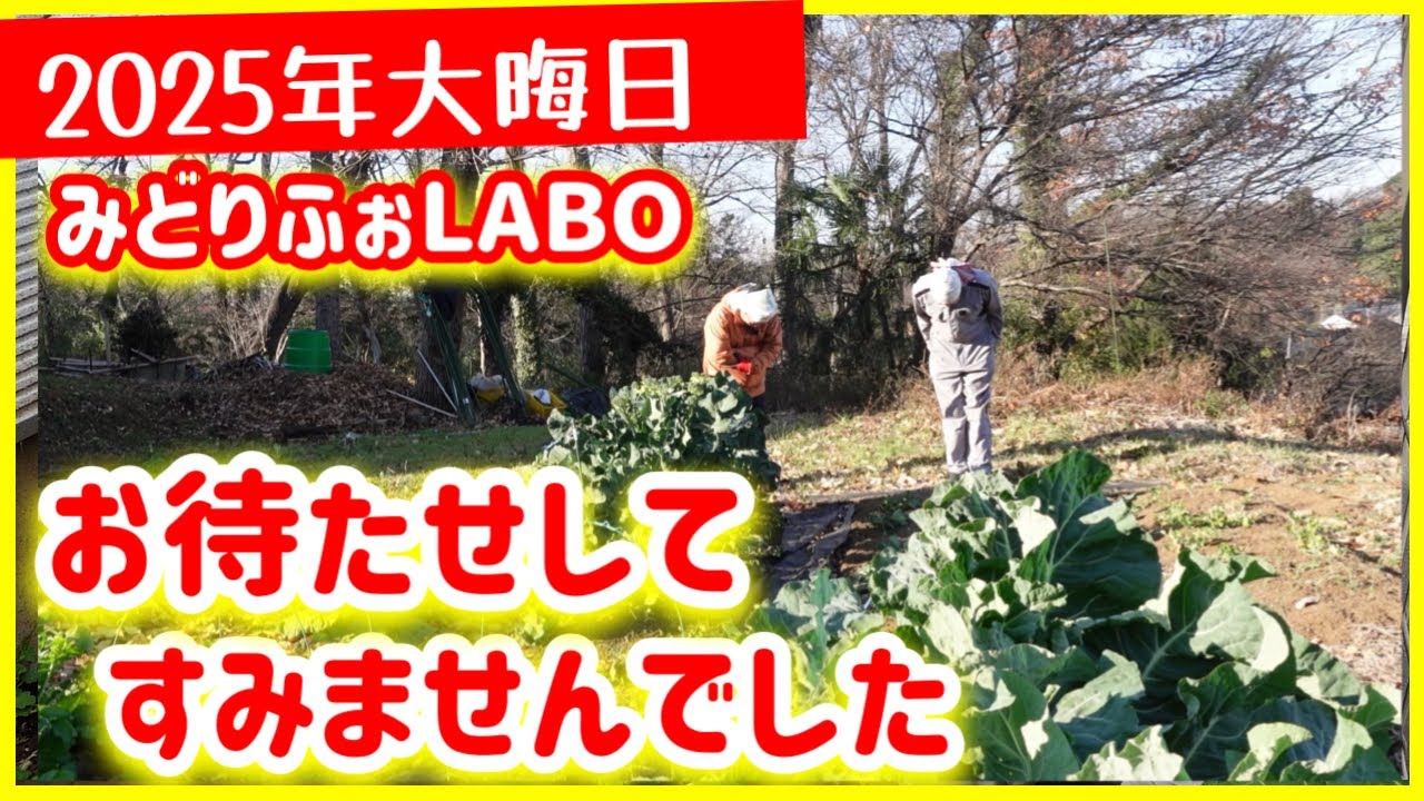 2025年大晦日　秋冬野菜、一挙9品種紹介！！みどりふぉLABOは元気です！！今年も一年お世話になりました