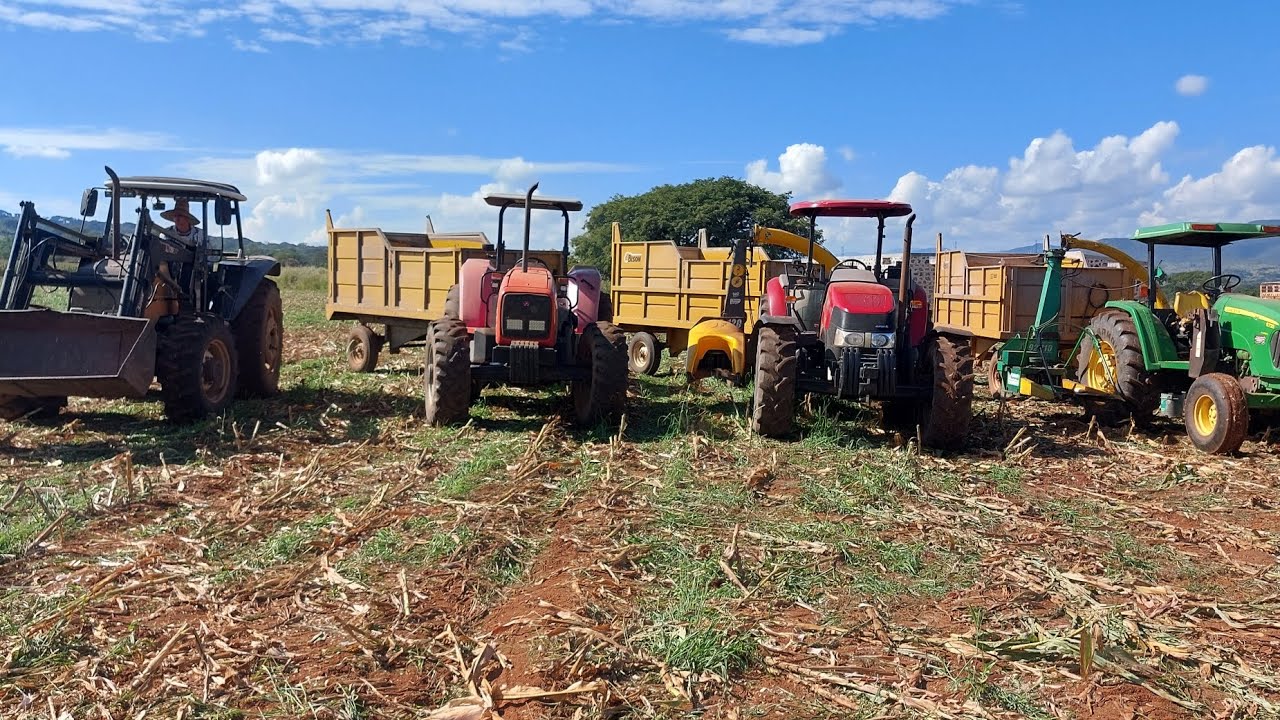 Ensilando Maiz!!! 🌽🌽  Casi por Finalizar la Zafra de ensilaje!!!🚜🚜