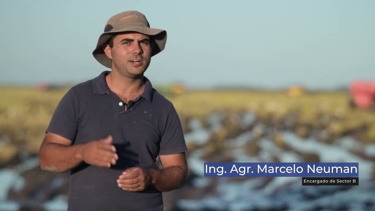 Arrozal 33 90 años Uruguay
