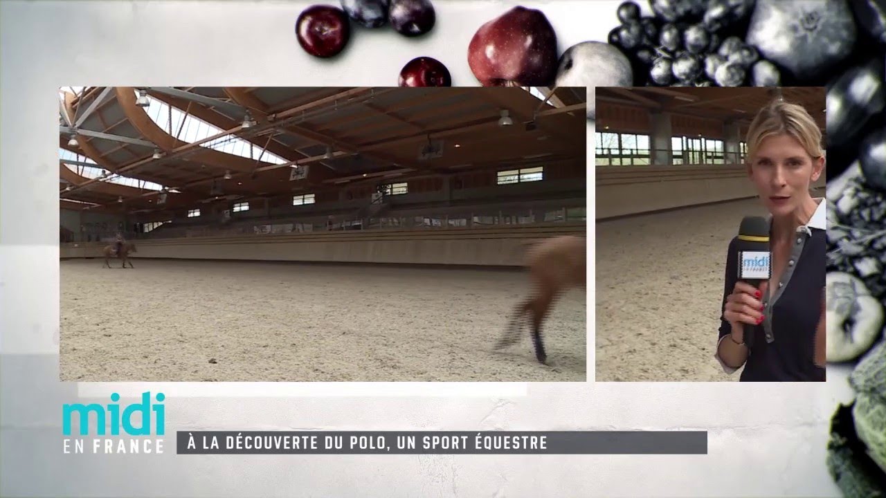 A la découverte du Polo, un sport équestre