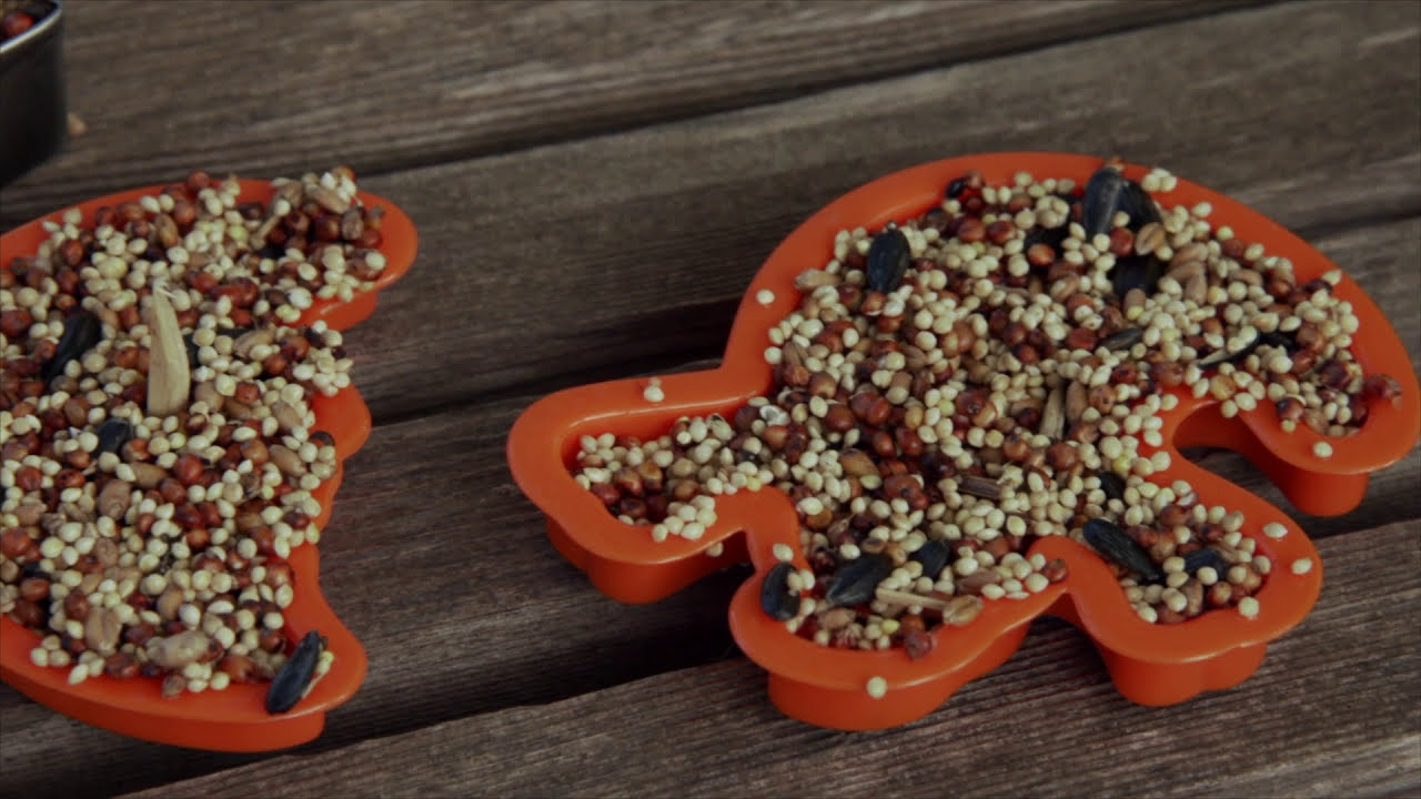 DIY Birdseed Cake