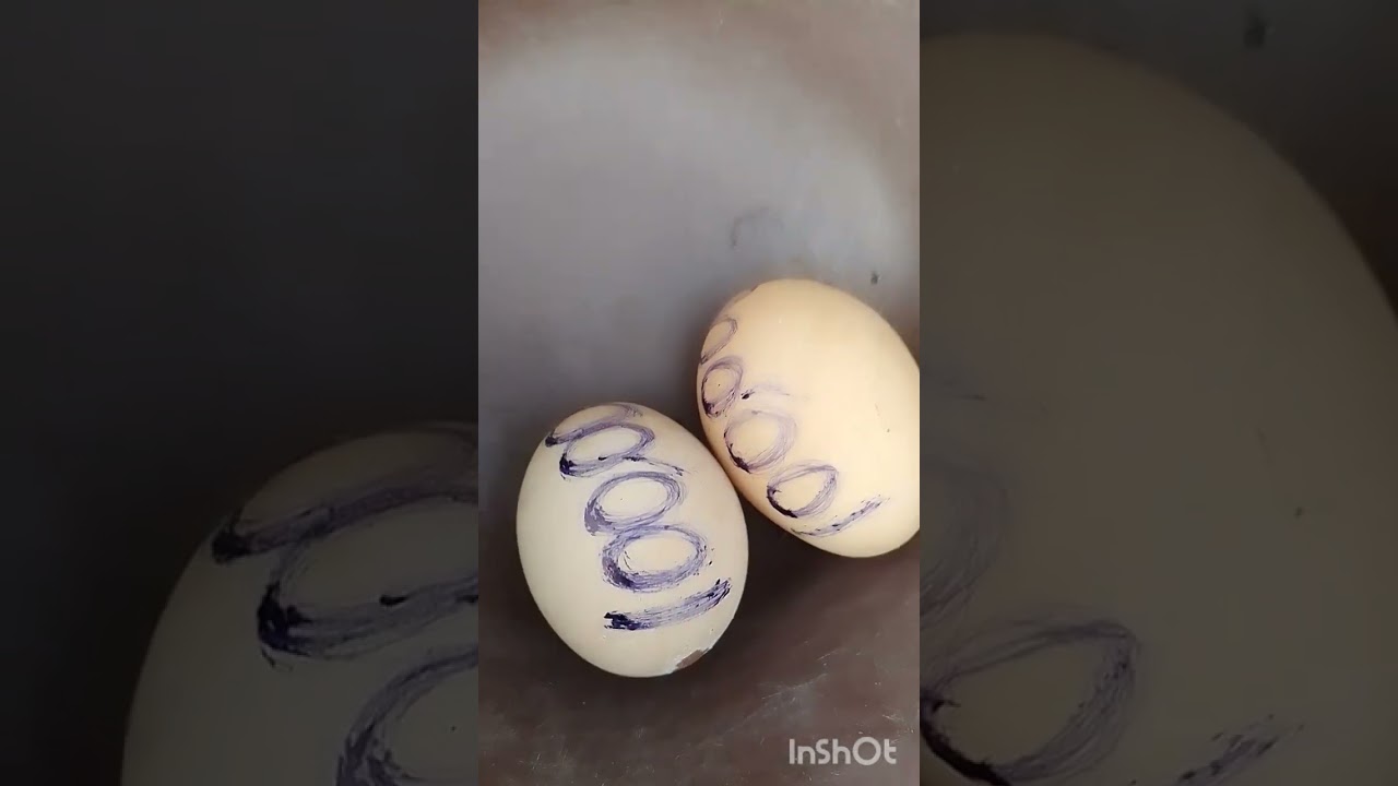 ASEJE ASIRI BIBO OWO KIA KIA )OJO META NI AOFIJE ASEJE YII