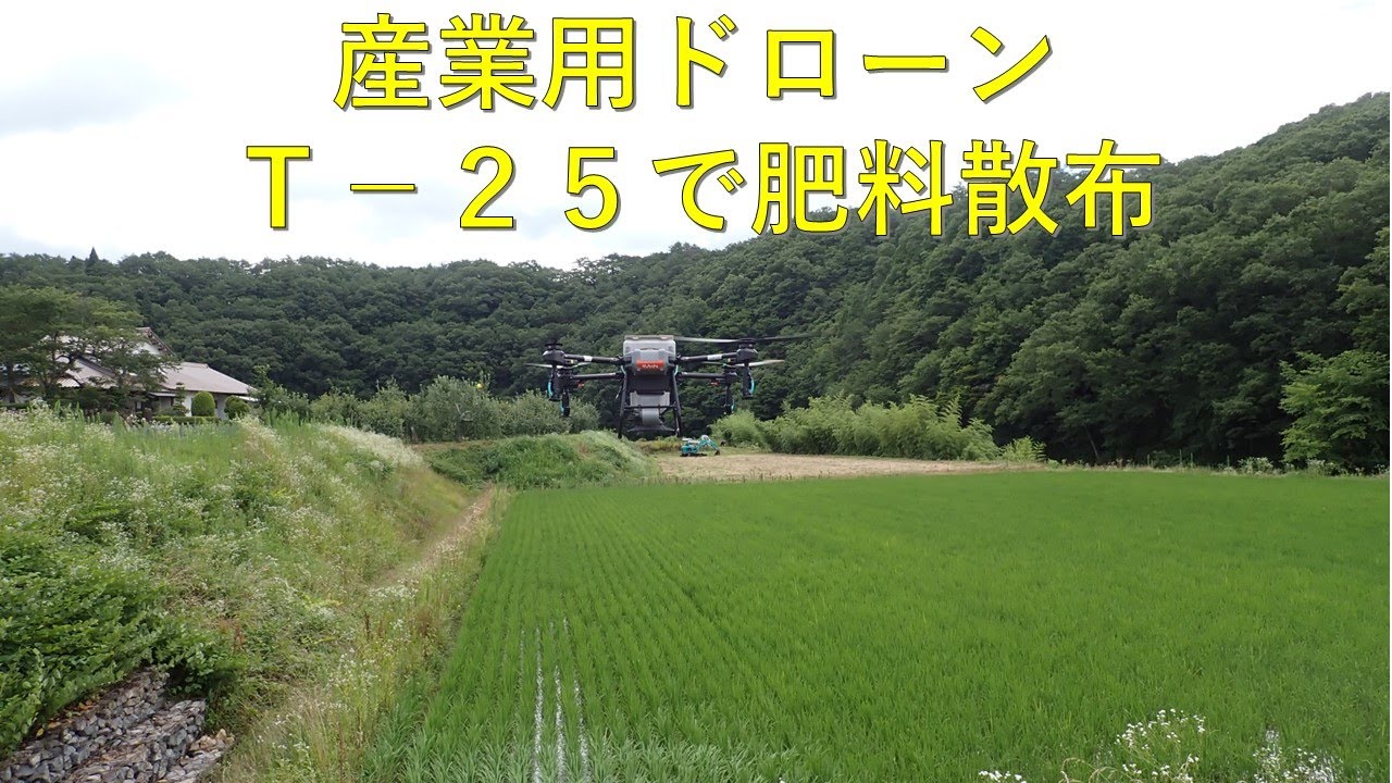 第６０９回　少しづつ慣れていけ！農業用ドローンＴ－２５で肥料散布作業
