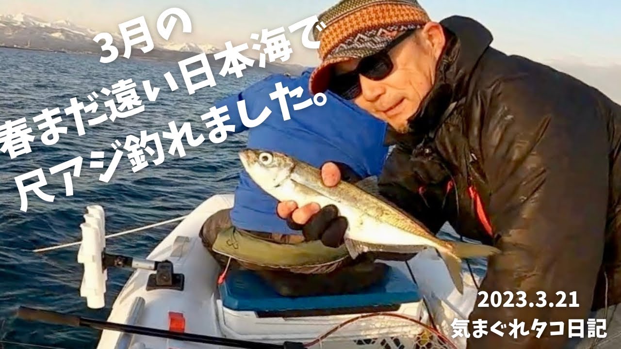 2馬力ボート釣りで尺アジ！メガアジ！ギガアジは不発！サバも釣れたよ@takokappachannel 2023.3.21気まぐれタコ日記。