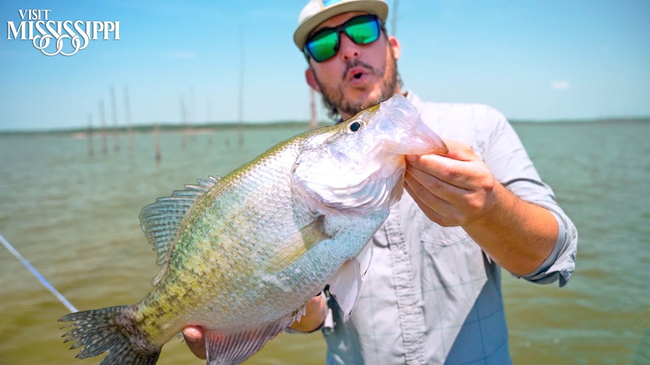 Fishing for World Record CRAPPIE on Sardis Lake (CATCH CLEAN COOK) | #FieldTrips Mississippi
