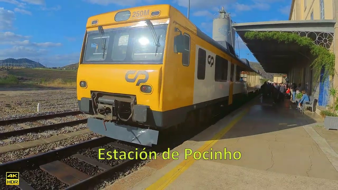 CRUCERO POR EL DUERO