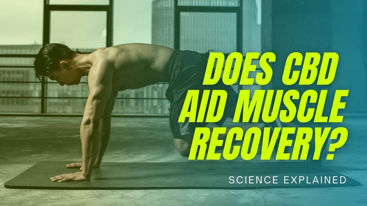 Does CBD aid muscle recovery?  (Science Explained)
